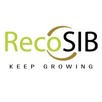 RecoSIB LLP logo - Similar company to African Rights For Economic Development