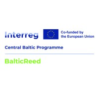 BalticReed logo - Similar company to Simulation Wizard