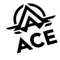 theACE -- Accelerated Chinese Education logo - Similar company to Upgrade ∞