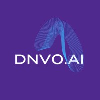 DNVO Consulting, LLC logo - Similar company to Amb Consulting