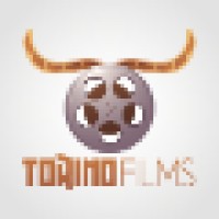 Torino Films logo - Similar company to D Productora Visual