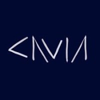 Filmhuis Cavia logo - Similar company to D2D Media