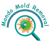 Mondo Mold Removal