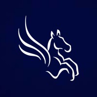 Pegasus Academy
