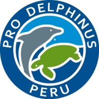 Pro Delphinus logo - Similar company to Yamaha - Mr. La Roca