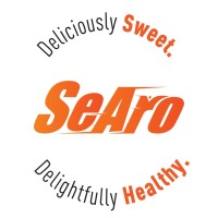 SeAro logo - Similar company to Team Virtuoso
