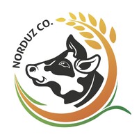 Norduz Company logo - Similar company to Awchi Company