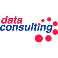 Data Consulting logo - Similar company to Data Consulting Group