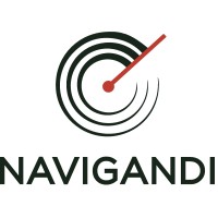 Navigandi logo - Similar company to Tech Lab Development