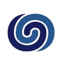 Neumann Strategy Consulting