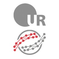 University of Regensburg - Information Science logo - Similar company to Csp Consultants