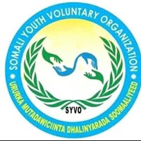 Syvo organization logo - Similar company to Egm Security