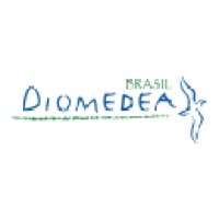 DIOMEDEA logo - Similar company to Flavio Pettinari - Export & International Business