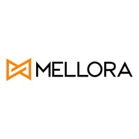 Mellora Marketing Technologies Pvt.Ltd logo - Similar company to Witshaper