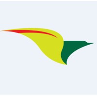 Pássaro Verde logo - Similar company to Transfacil