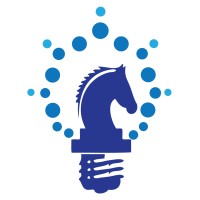 Intelligent Digital Strategies
