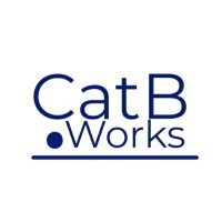 CatB.works logo - Similar company to Nlm Building Consultancy