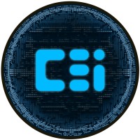CE-Intro logo - Similar company to Ce Spark