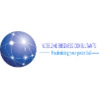 Wiselink Accounting And Business Consultants