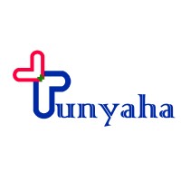 PUNYAHA HEALTHCARE SOLUTION PRIVATE LIMITED logo - Similar company to Simplesoft Technologies