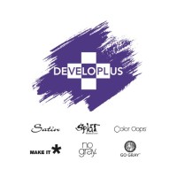 Developlus Inc logo - Similar company to Nsf Center For Aqueous Supramolecular Chemistry