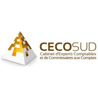 CECOSUD-ASSOCIES logo - Similar company to Augefi | Audit Et Expertise Comptable 🚀