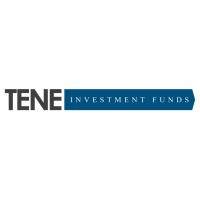 Tene Capital logo - Similar company to Firstime Ventures