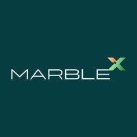 MarbleX logo - Similar company to Technia