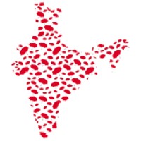 National Network Of Sex Workers, India