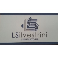 LSilvestrini Consultoria logo - Similar company to Produban México