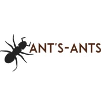 Ant'S Ants