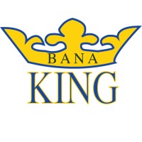 Bana King Llc