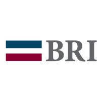 BRI logo - Similar company to Damous