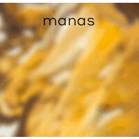 manas logo - Similar company to Arise&Win Project