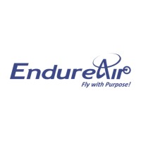 EndureAir Systems Pvt. Ltd. logo - Similar company to Bonv Aero
