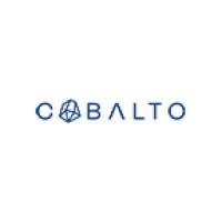 COBALTO Photo & Video Hub logo - Similar company to Italia Open-Source