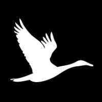 IKOTECH LLC logo - Similar company to Ikontel
