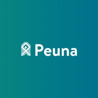 PEUNA PNG logo - Similar company to Divergent Link