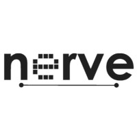 Nerve Solutions logo - Similar company to Zagtrader