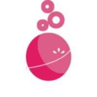 Bath Bombs logo - Similar company to Bath Bomb Lady