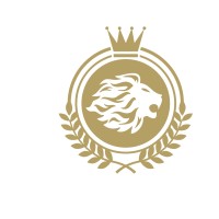 Lion Football Academy logo - Similar company to Bvv Barendrecht