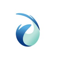 Transsolution logo - Similar company to Jet Courier Bd