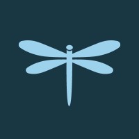 Dragonfly logo - Similar company to Dragonfly