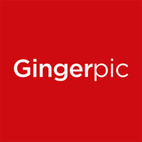Gingerpic logo - Similar company to Rokoko