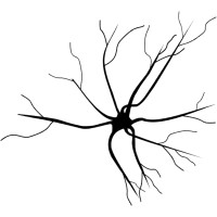 Neurocentral logo - Similar company to K-Neuro