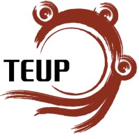 Tuna De Engenharia Da Universidade Do Porto