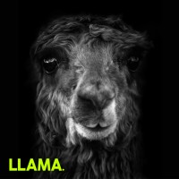 LLAMA Consulting Agency logo - Similar company to Tachi