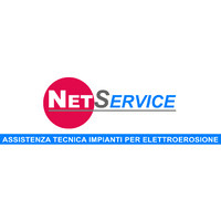 NetService EDM logo - Similar company to Dymeng Technology Solutions