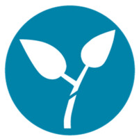 Scion - Desenvolvimento De Executivos E Gestão Empresarial Ltda.