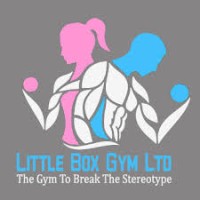 LITTLE BOX GYM logo - Similar company to Blue Rock Group